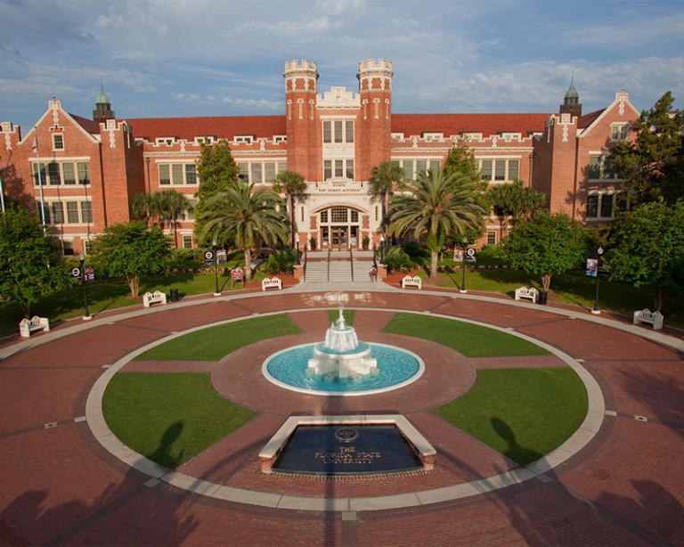 Best Schools In Florida For Psychology