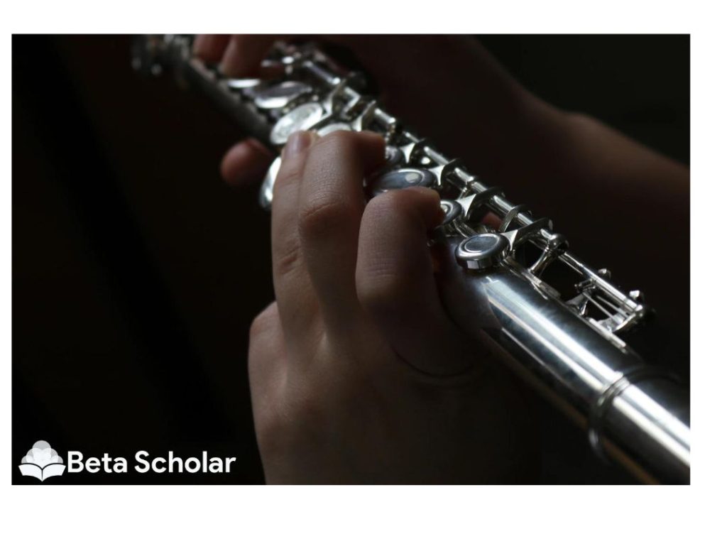15 Best Flutes For Beginners, Intermediates & Students Beta Scholar