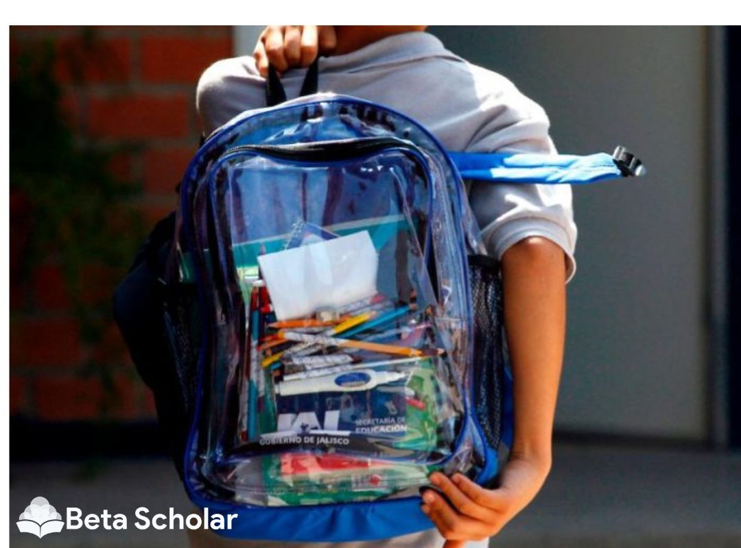 Best Clear Backpacks